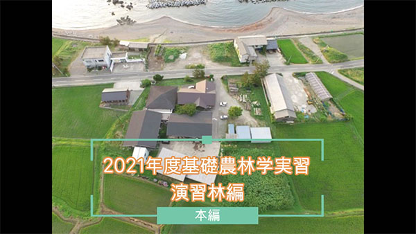 2021年度基礎農林学実習① 演習林野外実習編