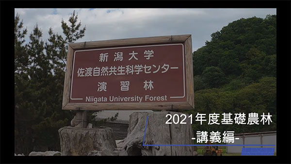 2021年度基礎農林学実習② 演習林講義編「佐渡の自然環境」