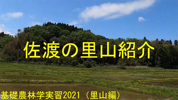 2021年度基礎農林学実習③ 里山実習編